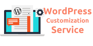 Wordpress Customization